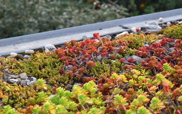 the cost of Saundersfoot green roof installation