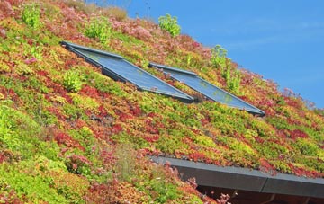 Saundersfoot living roof systems