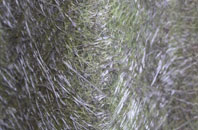 Saundersfoot fibreglass roof work